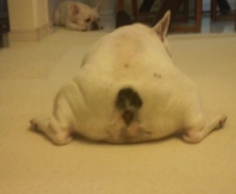 父の日ギフト券&キャンペーン延長のお知らせ。