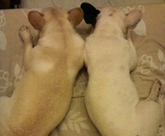 頭痛持ちの方、ちょっとお耳を。(1)