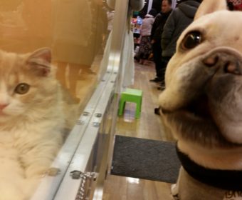 ギックリ腰の方、ちょっとお耳を。(2)