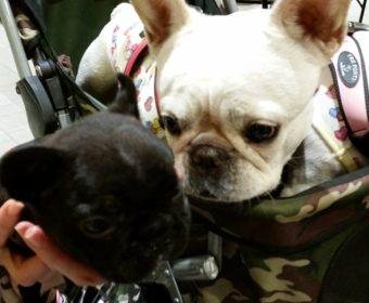 ギックリ腰の方、ちょっとお耳を。(1)