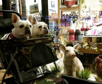 頭痛持ちの方、ちょっとお耳を。(3)