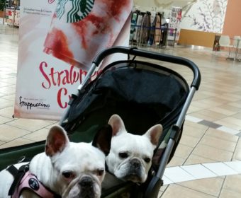 頭痛持ちの方、ちょっとお耳を。(2)