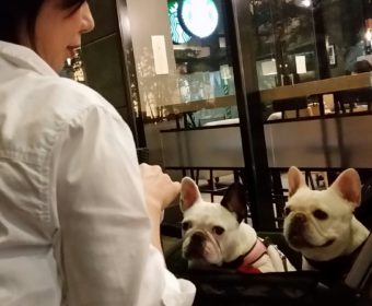 目がお疲れの方、ちょっとお耳を。(1)