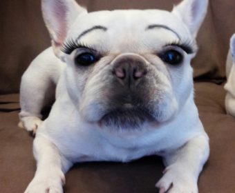 膝が痛い方、ちょっとお耳を。(1)