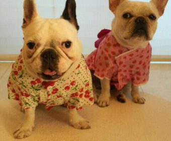 肩こりの方、ちょっとお耳を。(2)