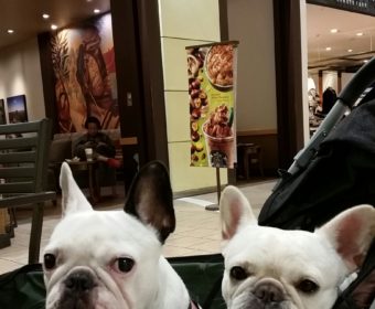 腱鞘炎の方、ちょっとお耳を。(1)