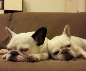 急に歯が痛みだした方、ちょっとお耳を。(1)