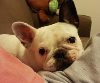 脚がつる方、ちょっとお耳を。(1)