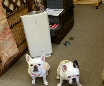 かかとが痛い方、ちょっとお耳を。(1)