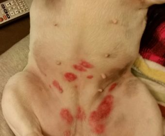 脚がむくむ方、ちょっとお耳を。(1)