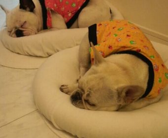 胸やけでお困りの方、ちょっとお耳を。(1)