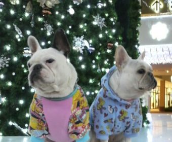 ストレスで胃が痛む方、ちょっとお耳を。(1)