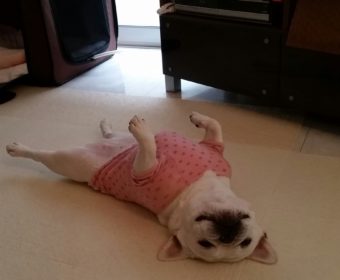 二日酔いの方、ちょっとお耳を。(2)