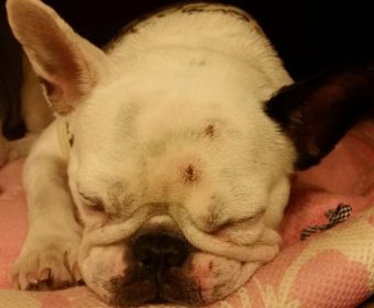 しゃっくりが止まらない方、ちょっとお耳を。(2)