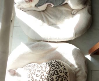 二日酔いの方、ちょっとお耳を。(1)