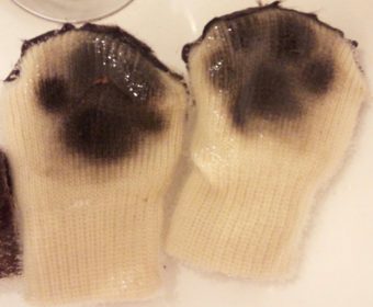 乗り物酔いの方、ちょっとお耳を。(1)