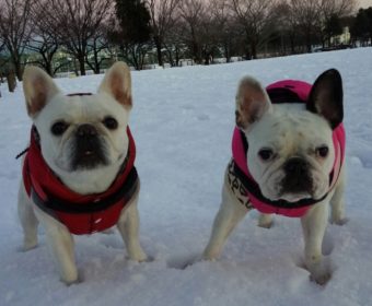 吐き気がする方、ちょっとお耳を。(2)