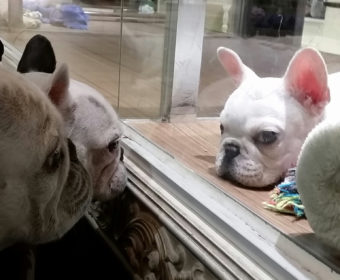 頻尿の方、ちょっとお耳を。(1)