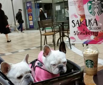 ノドが痛い方、ちょっとお耳を。(1)