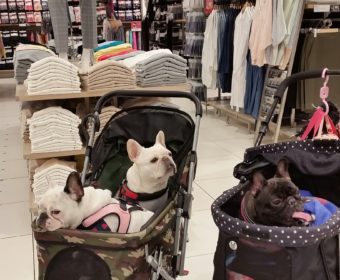 イライラしてる方、ちょっとお耳を。(1)