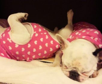 鼻水がつらい方、ちょっとお耳を。(1)