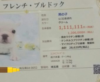 眠くて仕方ない方、ちょっとお耳を。(1)