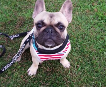 歯ぎしりしてしまう方、ちょっとお耳を。(1)