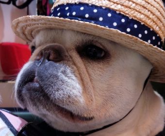 イビキをかきやすい方、ちょっとお耳を。(1)