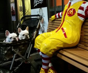 歯ぎしりしてしまう方、ちょっとお耳を。(2)