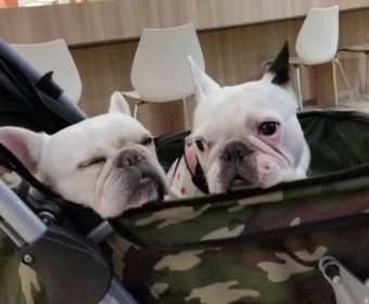 四十肩&五十肩の方、ちょっとお耳を。(1)