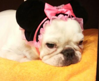 四十肩&五十肩の方、ちょっとお耳を。(2)