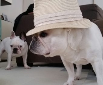 顔の痛みにお悩みの方、ちょっとお耳を。(1)