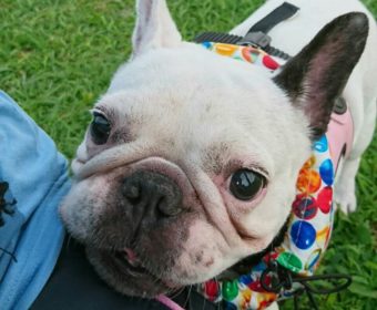 背中が痛い方、ちょっとお耳を。(1)