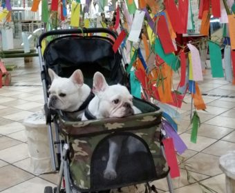 膝が痛い方、ちょっとお耳を。(2)