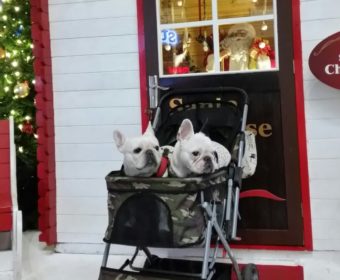 更年期障害の方、ちょっとお耳を。(1)