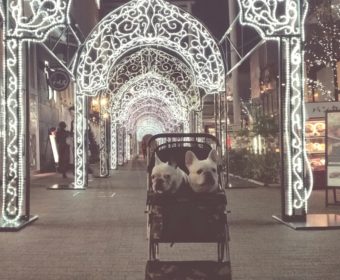 更年期障害の方、ちょっとお耳を。(3)