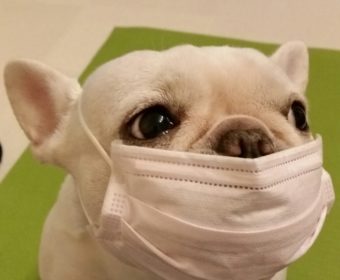 更年期障害の方、ちょっとお耳を。(2)