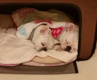 自律神経失調症の方、ちょっとお耳を。(1)