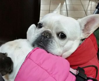 自律神経失調症の方、ちょっとお耳を。(2)