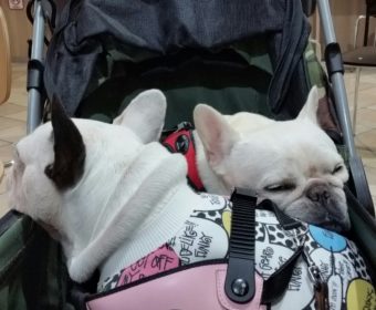 何となく憂鬱な方、ちょっとお耳を。(2)