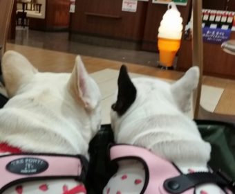 血糖値が高い方、ちょっとお耳を。(1)