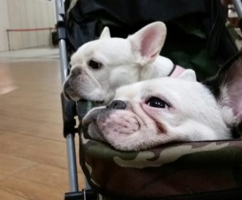 血糖値が高い方、ちょっとお耳を。(2)